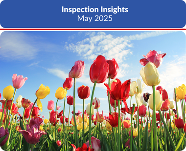 May 2025 Insights