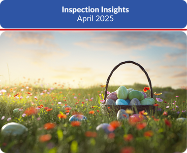 FIN Online April Insights